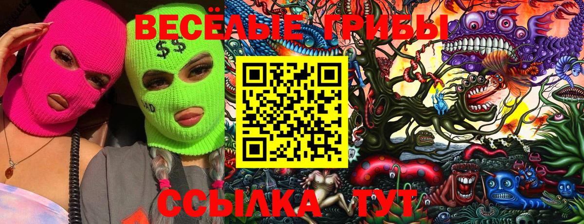 Галлюциногенные грибы мицелий Сердобск
