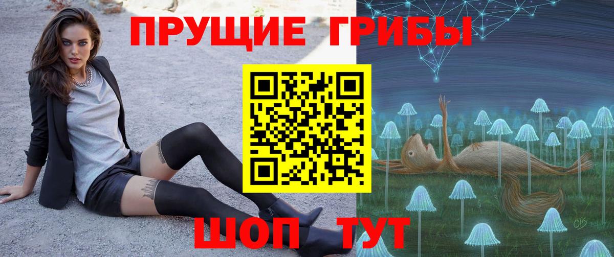 Сердобск  Галлюциногенные грибы GOLDEN TEACHER  Галлюциногенные грибы мухоморы  хочу наркоту  Вход с VPN 